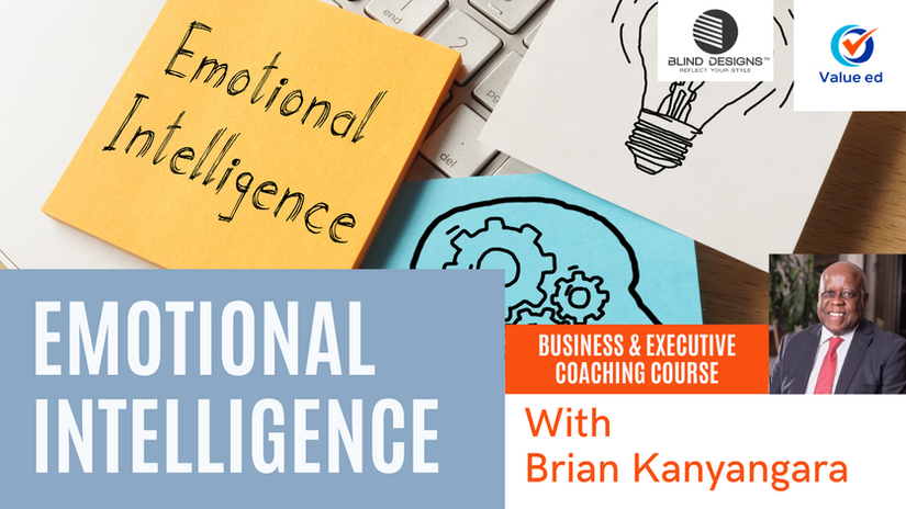Business & Executive Coaching - Emotional Intelligence